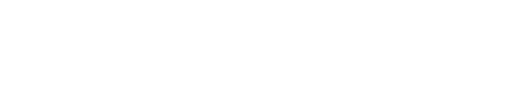 Experience Factory
